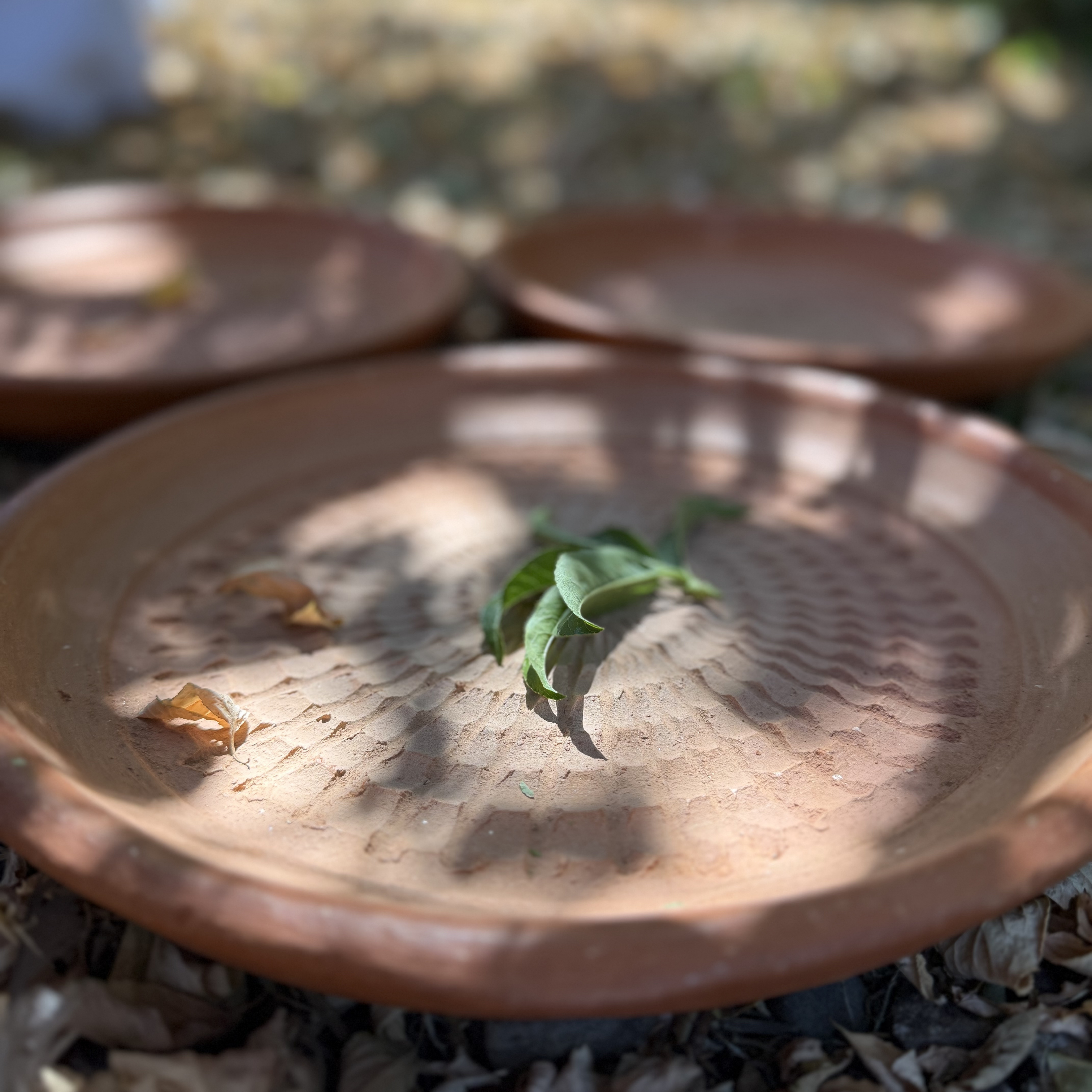 Tajine à pain — Terre NEJMA